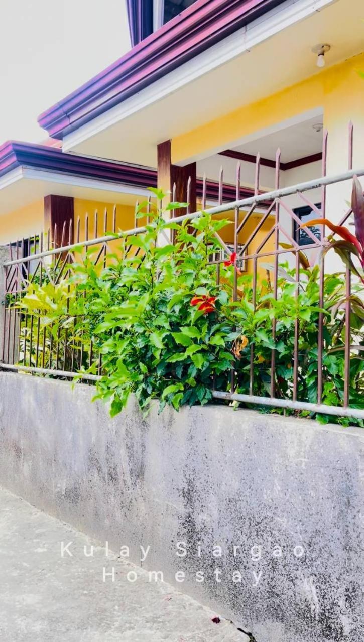 Ameeza Houze Homestay - Siargao General Luna  Exterior photo